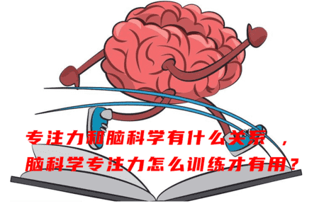 专注力和脑科学有什么关系 ，脑科学专注力怎么训练才有用？