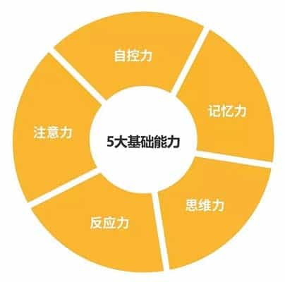 脑力工作者多补充提高创造力：如何成为一名高效的脑力工作者？)