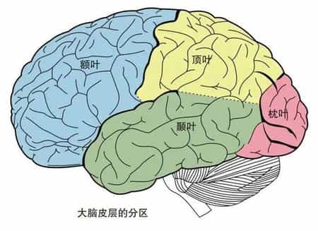 脑力训练游戏(挑战智力极限的思维训练游戏)