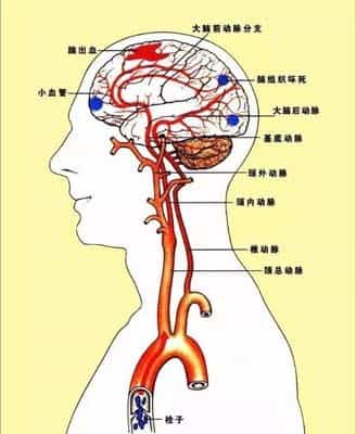 美术教学中脑力的培养(提升创造力：美术教育中备受重视的脑力培养)